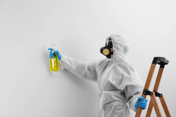 Mold Remediation for Rental Properties in Muscoy, CA